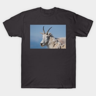 Alpine Beast T-Shirt